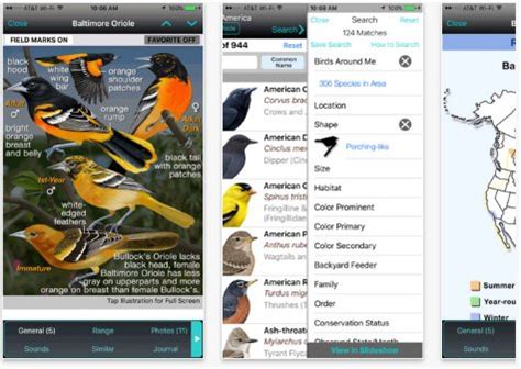 Best Birding Apps For Iphone Android Tablets