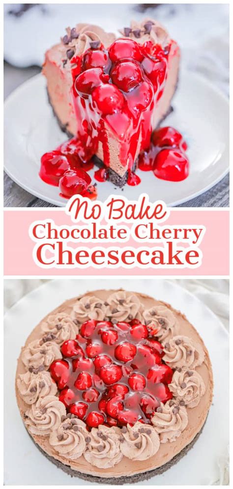 Chocolate Cherry Cheesecake No Bake The Baking Chocolatess