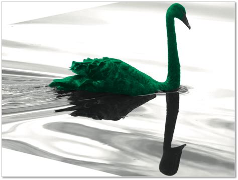 Green Swan Black Swan No Matter As Long As It Reduces Stranded