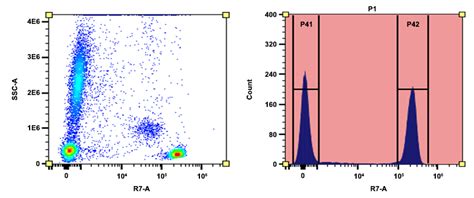 Buccutite™ Rapid Apc Ifluor® 750 Tandem Antibody Labeling Kit Microscale Optimized For Labeling