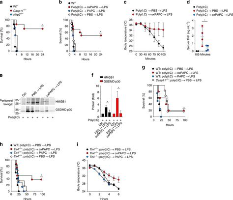 Oxpapc Ameliorates Acute Lps Induced Shock In Vivo A Wt Casp