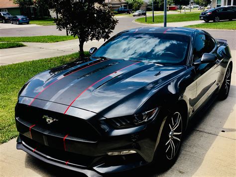 Mustang Racing Stripes Shelby Style Colors 7 Wide Ubicaciondepersonas