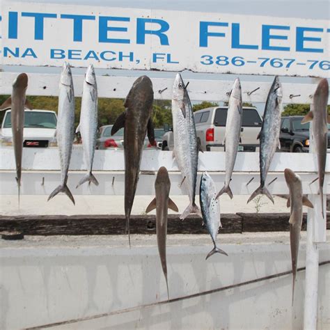 Critter Fleet Ponce Inlet Atualizado 2022 O Que Saber Antes De Ir