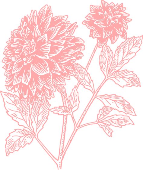 Light Pink Flower Print Clip Art At Vector Clip Art Online