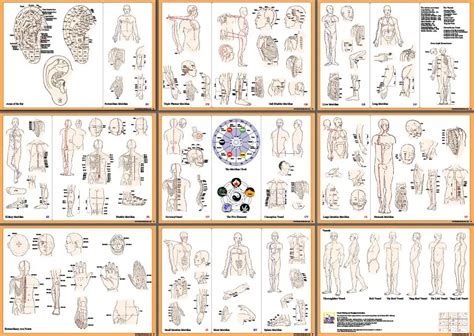 Printable 12 Meridians Chart