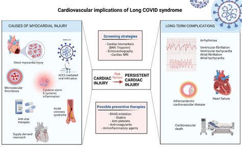 Persistent Cardiac Injury An Important Component Of Long Covid