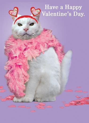 Funny Valentine's Day Card - "Valentine Cat" from CardFool.com