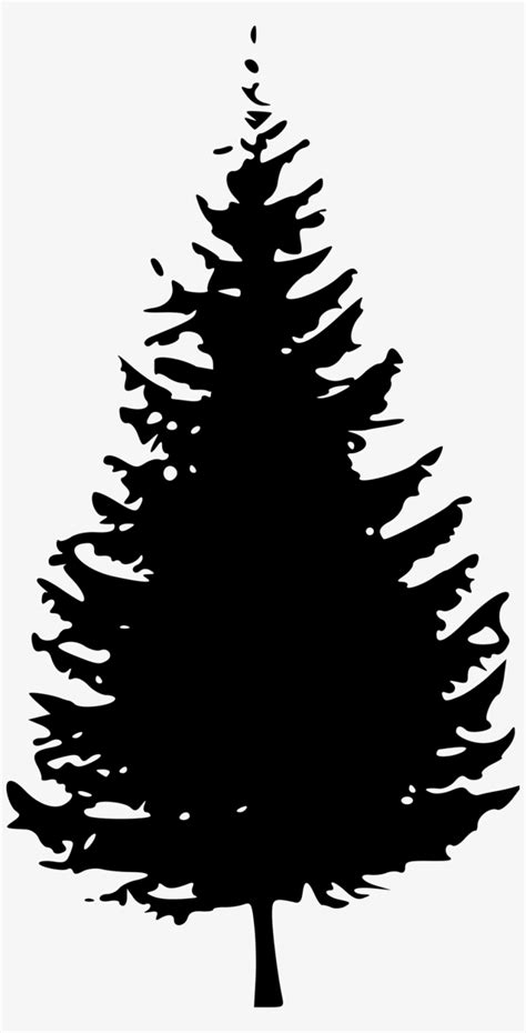 Transparent Trees Douglas Fir Evergreen Tree Silhouette Png