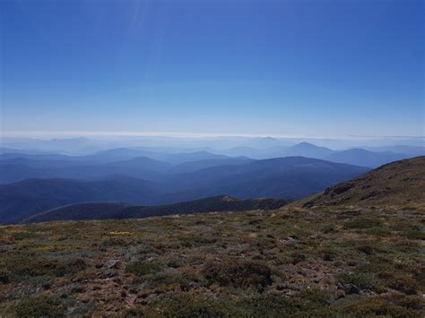 Mount Bogong Mountain Information