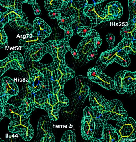 Structure At Resolution Of The Cytochrome Bc Complex From The