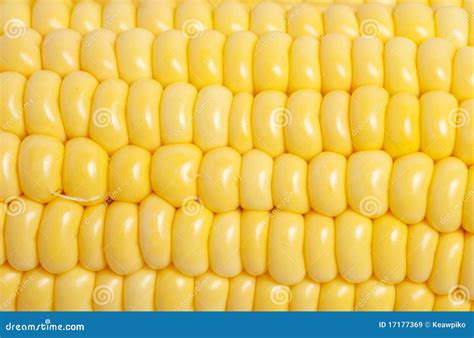 Corn Texture. Royalty-Free Stock Photography | CartoonDealer.com #135254369