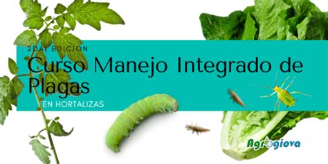 Inscripciones Abiertas Curso Manejo Integrado De Plagas En Hortalizas