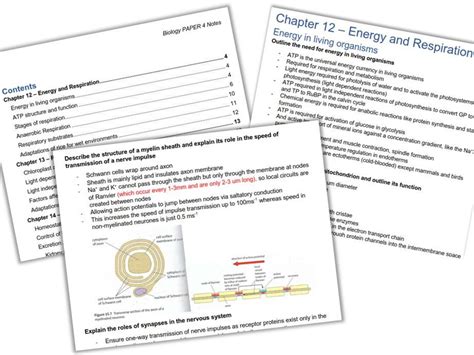 My A2 Biology Notes 118 Pages Teaching Resources