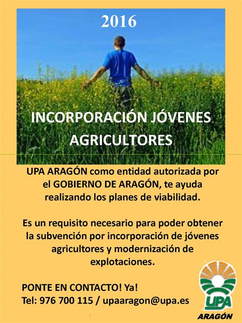 YA SE HAN PUBLICADO LAS AYUDAS PARA LA INCORPORACIÓN DE JÓVENES