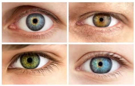 The Most Attractive Eye Colour For Males And Females Psyblog