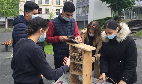 Firminy Les Lyc Ens Camus Sensibilis S La Protection De Lenvironnement