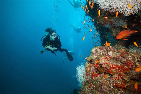 PADI Adventure Diver Stellar UK Diving Scuba Dive Centre