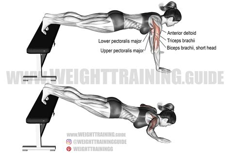 Decline push-up exercise instructions and video | Weight Training Guide