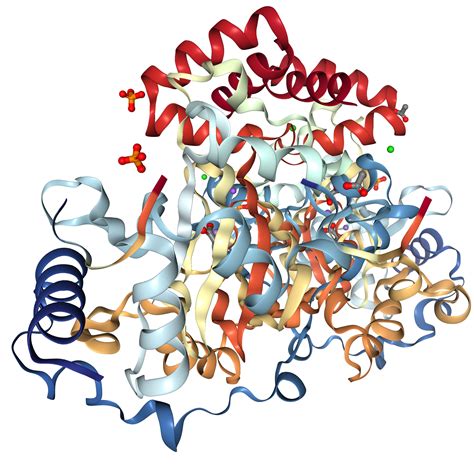 Jmjd6 Protein Overview Sino Biological