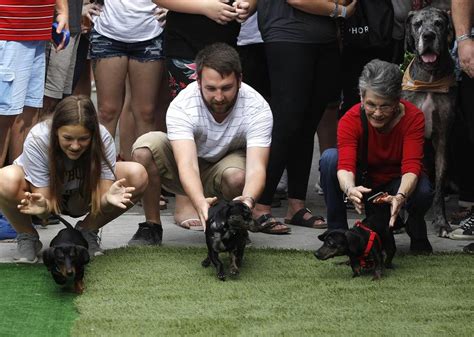 Oktoberfest Wiener Dog Races