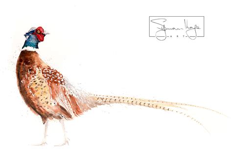 Pheasant Watercolor Painting Watercolour - Hand Signed Limited Edition ...