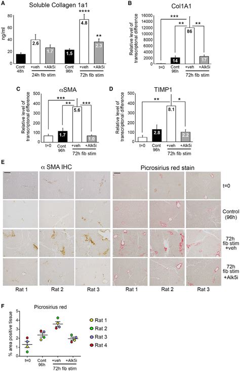 Modeling Fibrosis And Testing Antifibrotic Therapy In Normal Rat Liver