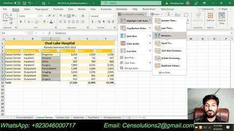 Excel Module Sam Project A Oval Lake Hospital Excel Module Sam