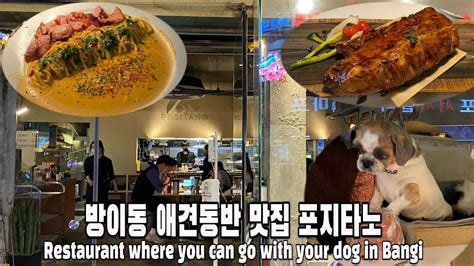 방이동 애견동반맛집 애견동반식당 포지타노 Restaurant Where You Can Go With Your Dog In