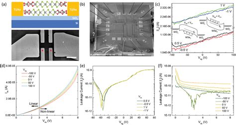 Configurations And Carrier Transport Characteristics Of O‐wse2 Fets In