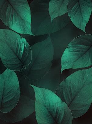 Dark Green Plant Background Images Hd Pictures And Wallpaper For Free