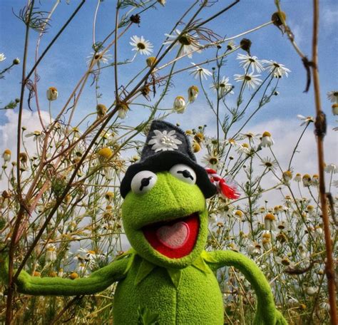 ปักพินโดย Katrin Rubey ใน Kermit Der Frosch