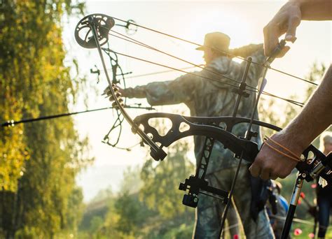 Top 10 Hunting Bows On The Market Today Get That Right