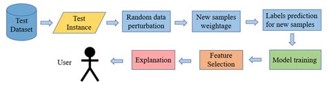 The Workflow Of Lime Method Download Scientific Diagram