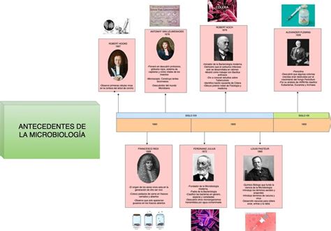 Antecedentes De La Microbiolog A Vanessa Udocz