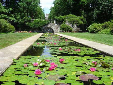 Azalea Garden | New Jersey Botanical Garden