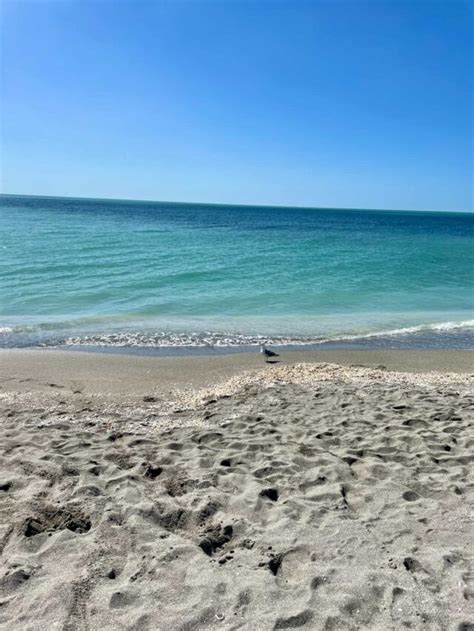 Best Beaches In Siesta Key Florida Food Fun And Faraway Places