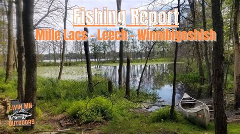 Fishing Report Mille Lacs Lake Leech Lake And Lake Winnibigoshish 09 02