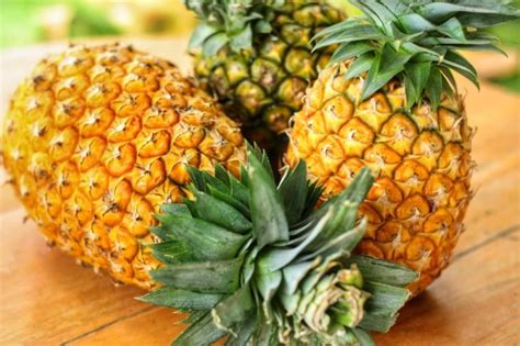 Planting Pineapple Tops - Why You'll Need 2-3 Years For This Long Term ...