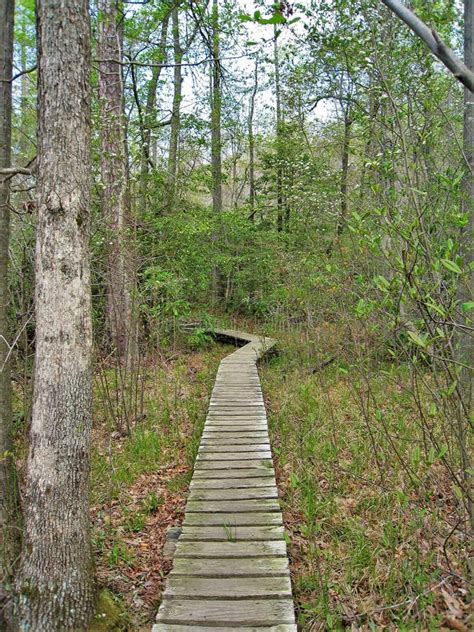 Hanging Rock State Park Hiking Trail Stock Photo Image Of Mountain