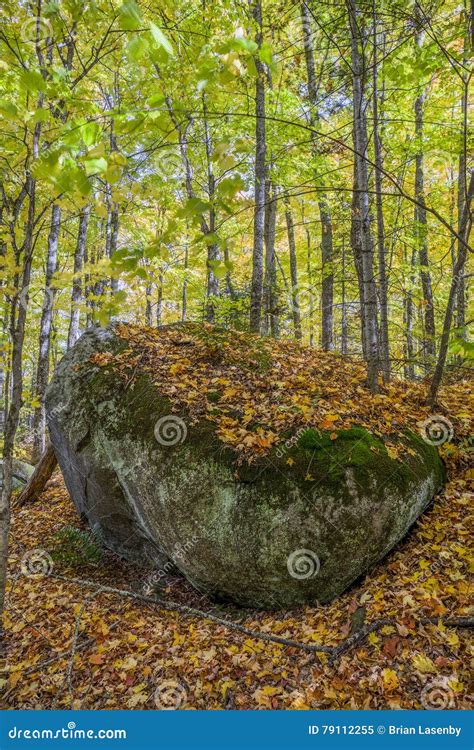 Large Precambrian Boulder In A Fall Forest Ontario Canada Stock Image Image Of Landscape