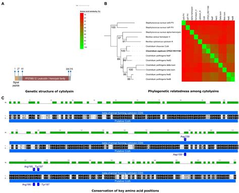 Frontiers First Comparative Analysis Of Clostridium Septicum Genomes