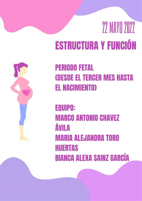 Solution Periodo Fetal Studypool