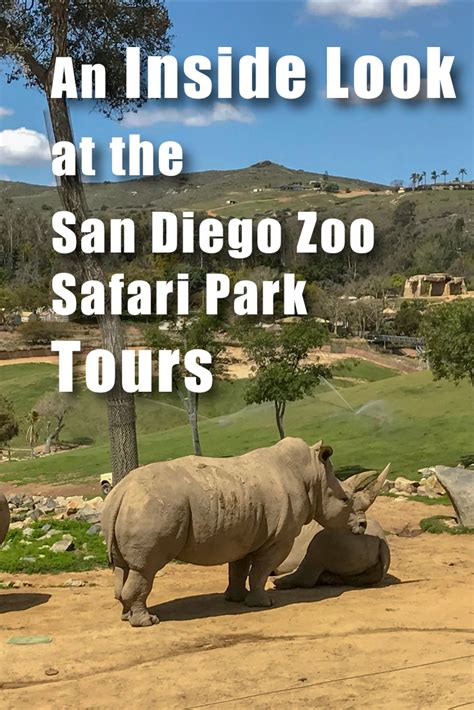 San Diego Zoo Safari Park Tips And Fun Things To Do Artofit