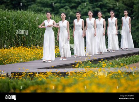 Liangzhu Archaeological Ruins Hi Res Stock Photography And Images Alamy