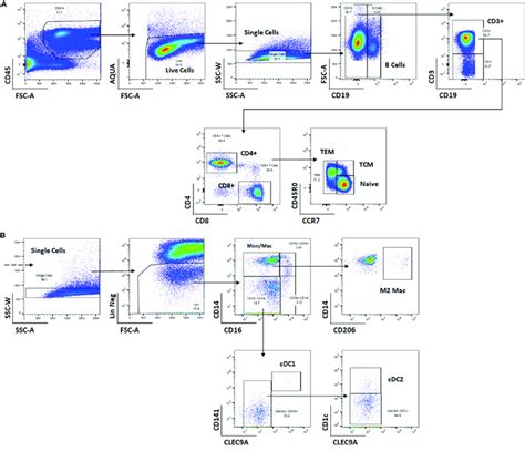 Example flow cytometry gating strategy for quantifying immune cell ...