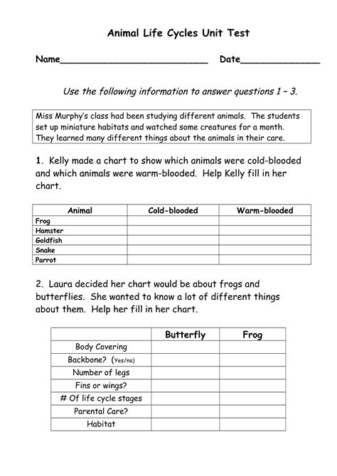 Animal Life Cycle Worksheets