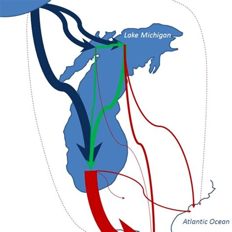 Migration Patterns Of Adult Common Loons Gavia Immer N 109