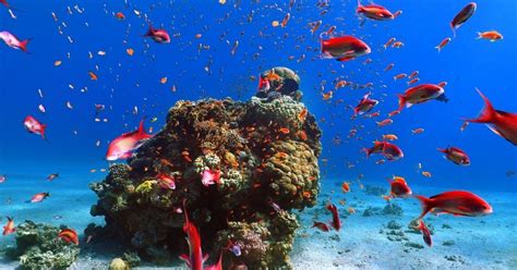 What is Hurghada Egypt Like? And Will You Enjoy It? — sightDOING