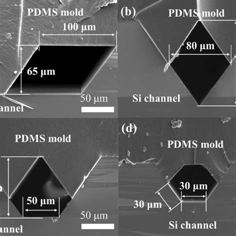 Sem Micrographs Of Microchannels With Various Cross Sectional Shapes A