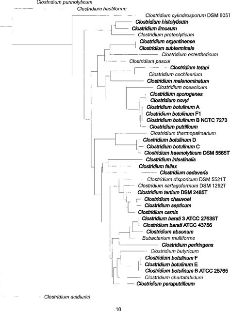 Figure 1 From Phylogenetic Basis For A Taxonomic Dissection Of The